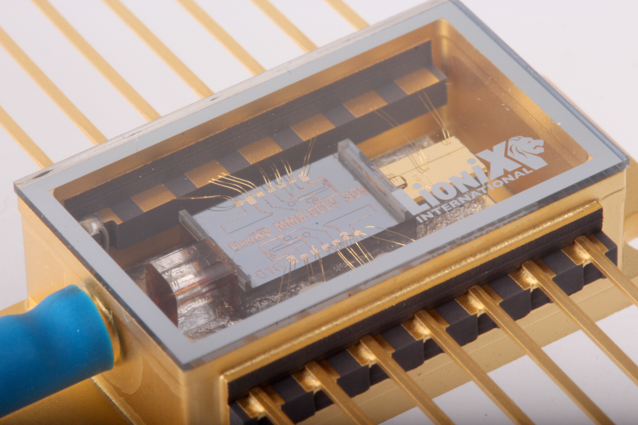 Photonics Packaging and Assembly LioniX International