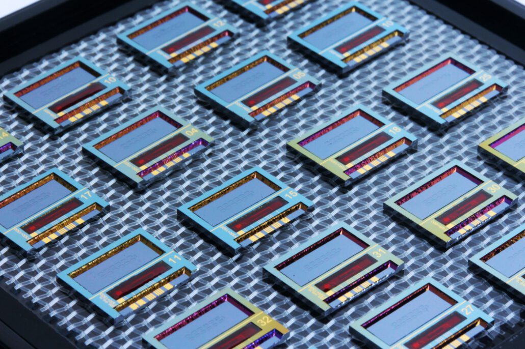 individual photonic integrated biosensor chips