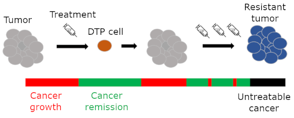 Development of drug-resistant tumors in the presence of DTP cells. Repeated treatment does not get rid of DTP cells, which allow the cancer to evolve to the point of being untreatable.
