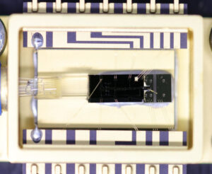 A photo of the fully assembled and wire-bonded laser module in a 14-pin butterfly package.